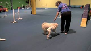 6-16-10 playing or working.mov