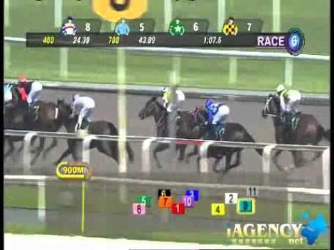 SINGAPORE RACE 15/12/2013 RACE 6 - iAgencyNet.com