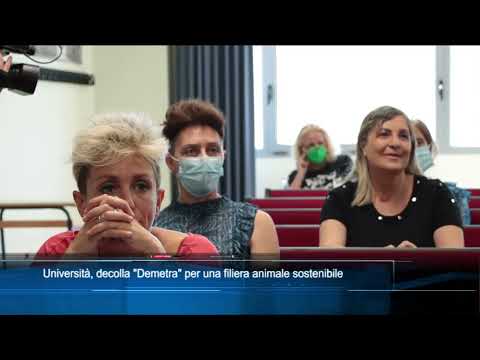 TgSei Edizione delle 14 Martedì 7 giugno 2022