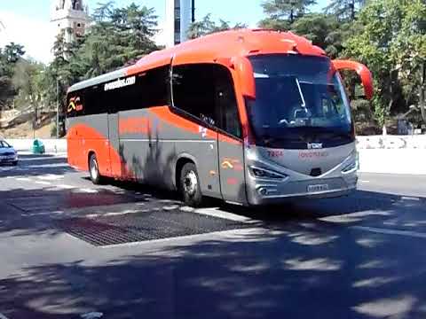Autobuses de Confort Bus y Avanza