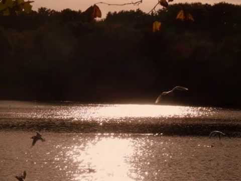 Janet Baker: Cantata BWV 82 (Ich habe genug) by Bach