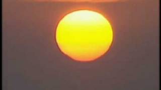 Die Flippers-Einen Sommer lang auf Marllorca