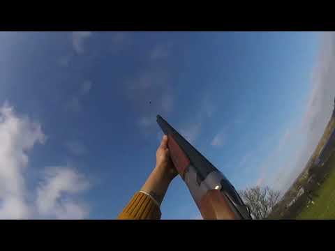 Driven Partridge shooting- quick clip