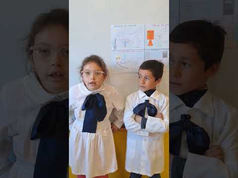 Escuela 29  Ahogados  Flores