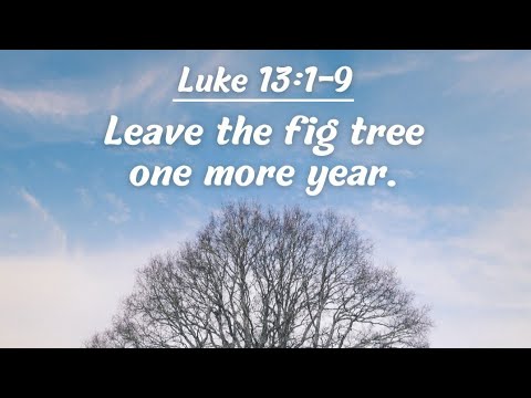 CATHOLIC MEDITATION: Saturday - 25 October, 2025. (29th Week - Ordinary Time, Year C).