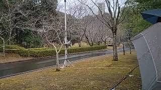 新城ラリーSS9 トクイチエクシージ Shinshiro Rally SS9 Lotus exige #新城ラリー2023 #ロータス #wrc