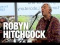 Robyn Hitchcock & the Venus 3 "Saturday Groovers" (HD) | indieATL session