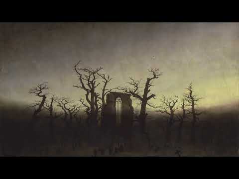 Henrique Oswald - Violin Concerto in D minor Op. 28 - Guedes, Mills, OSB