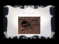 Insects
