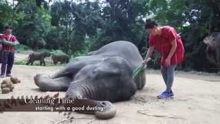 Patara Elephant Farm - Chiang Mai Thailand Shot with GoPro Black Hero3+