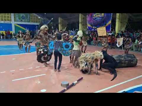 Grupo de Dança Cultural de Wone em comunidade Bugaio em município de Jutaí Amazonas Brasil 