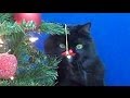 (Not So) Silent Night
