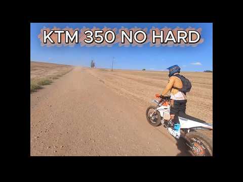 TRILHA DE FLORESTA PR