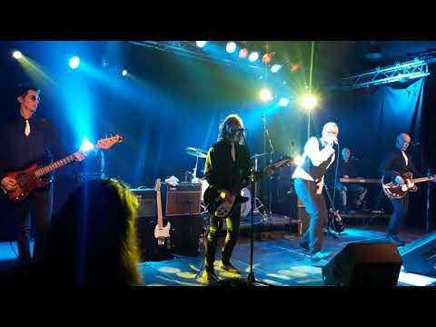 Gile i Magic Bush - Mjau, mjau - Uzivo 09.03.2018.