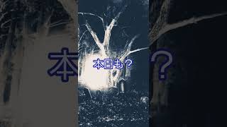 2026年10月13日