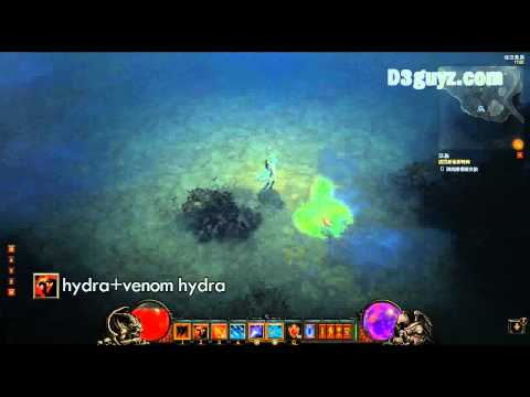 Diablo3-Wizard-skill-hydra+venom hydra