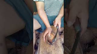 Download lagu Cara melepas daging kelapa/kopra 🥥 #petani #coconut #petanimuda #kelapa #kebunkelapa #kopra #kebun mp3
