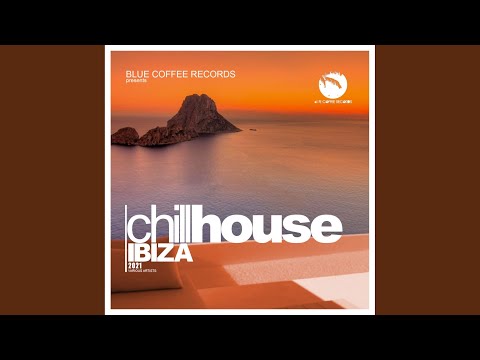 Chill House Ibiza 2021 (Continuous DJ Mix)