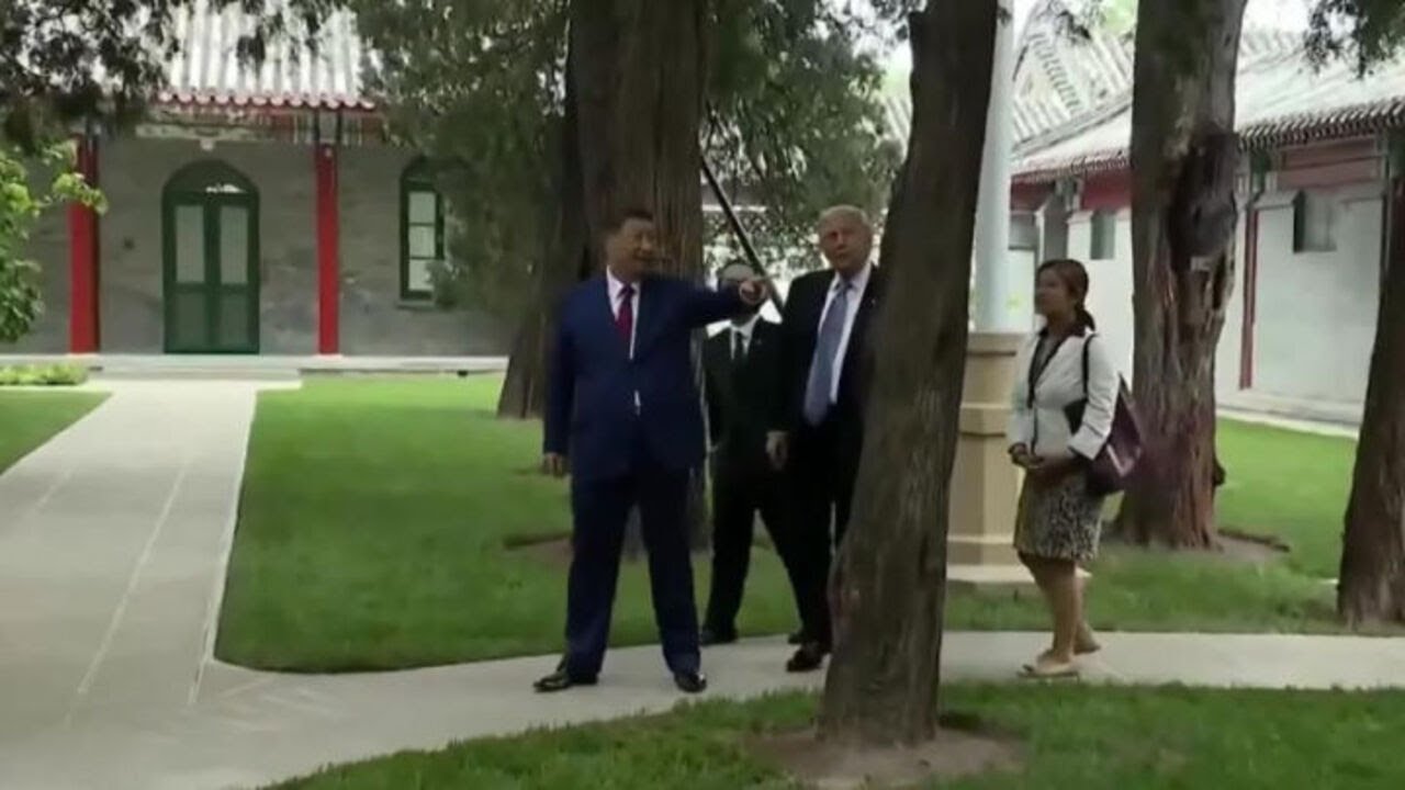 Trump visita i giardini di Zhongnanhai con Xi Jinping: Bel posto mi ci potrei abituare