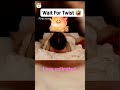 Trending Viral Trendingshorts Sex Tiktok Viralvideo Unboxing India Instagram
