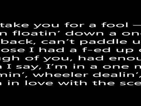 Natural Disaster - Laidback Luke Vs Example With Lyrics On Screen