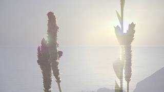 เก้าเส้ง สงขลา H264  + Title