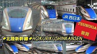 Download the video "JR西日本 北陸新幹線 敦賀駅 / つるぎ かがやき はくたか 朝ラッシュ / 発車 接近 メロディー 放送 / W7系 E7系 初夏の 新幹線街道 2025年6月"