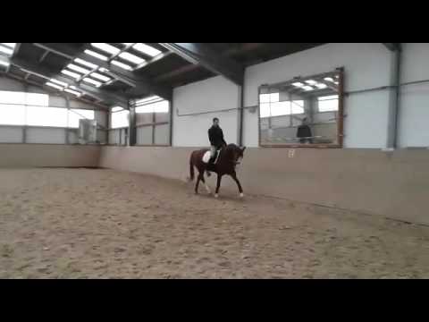 Fly and Dance Florenciano x Dinard L