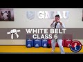 Taekwondo Follow Along Class White Belt Class 6