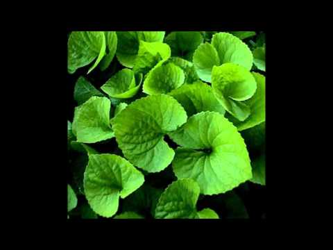 1 MEKTUP- 2. SUAL- ÖLÜM NİMETTİR VE MAHLUKTUR- ZÜLKARNEYN ABİ (26 KASIM 2013)