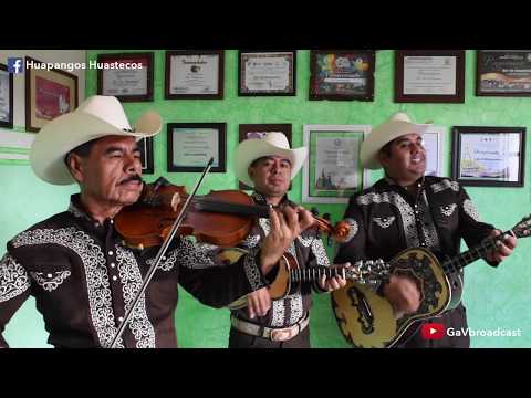 El Trío Los Hidalguenses  toca La Azucena y El Caimán