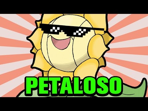 Questo video è PETALOSO