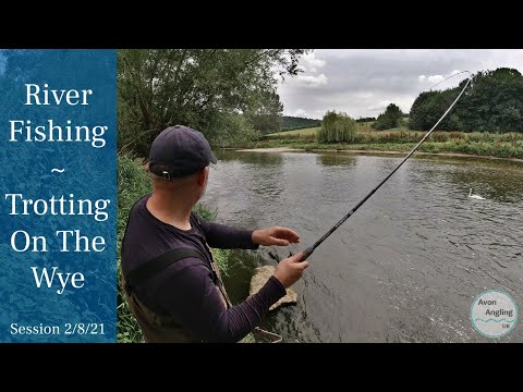 Fishing The River Wye - Trotting The Stick Float - 2/8/21 (Video 261)