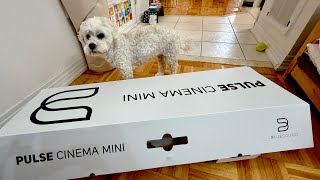 Bluesound Pulse Cinema Mini w/ Dirac Live