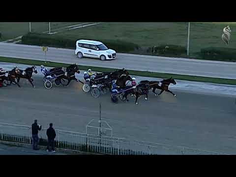 Aversa trotto 2 Marzo 2022 - 5° Corsa