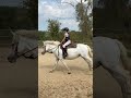 &Agrave; VENDRE : Hawa&iuml; du Peticlaux