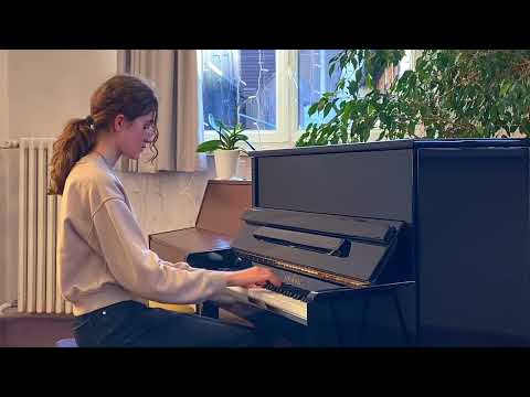 J-M.Allerme “Et le piano chantait”