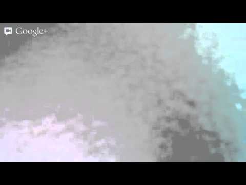 13 chilli pół fuksa