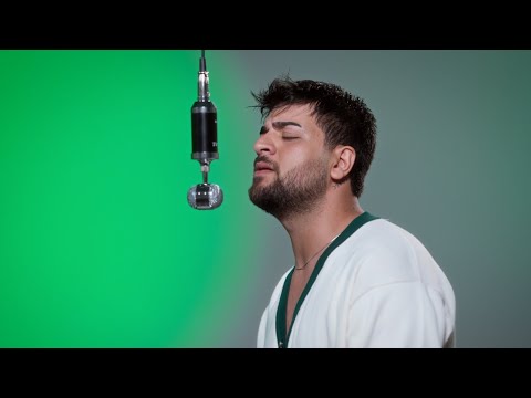 Zedi - Garip Hallerim  ( Official Video )