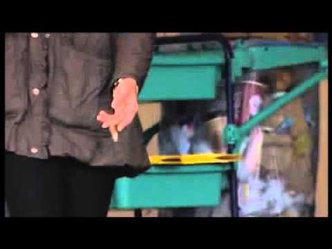 Persuasive Writing: Anti-Smoking