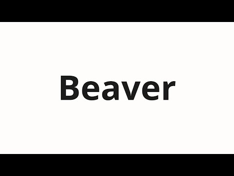 How to pronounce Beaver