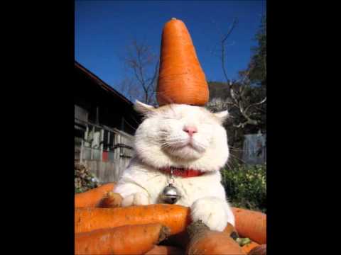 Escalatieteam Appelflapman