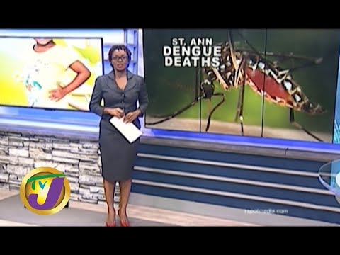 TVJ News: St. Ann Dengue Deaths - October 14 2019