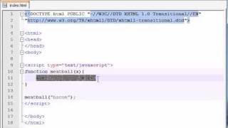 Beginner JavaScript Tutorial - 7 - Using Parameters with Functions