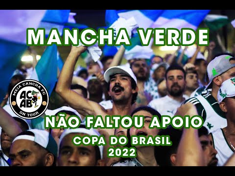 Festa e apoio da Mancha Verde do Palmeiras na Copa do Brasil