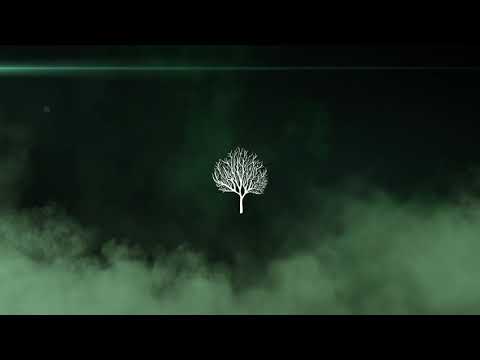 Henri Bergmann, Wennink - Protection (Dodi Palese Remix)