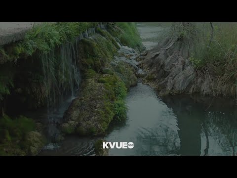 Moment of Zen: Beautiful creek | KVUE
