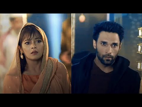 Shiddat✨ FT. #Moran || Shaleen Malhotra|| Kaveri Priyam|| Ziddi Dil Maane Na ❤️ KARAN IS BACK🔥 #zdmn