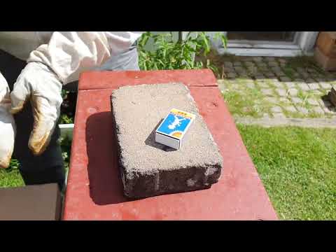 Tändsticksask som tillsättningsbur för ny bidrottning.