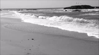 Human Leather Shoes For Crocodile Dandies - Caravan Palace [Fan MV]